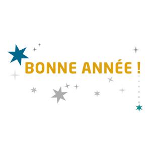 SOLINEST vous souhaite une belle année BONNE ANNÉE de SOLINEST